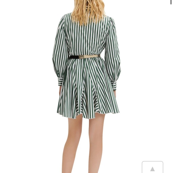 Maje Striped Shirt Dress in Green Cotton - Picture 4 of 4